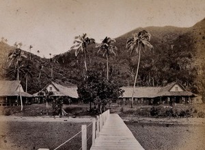 view Levuka, Fiji: the Government House, a long building with a thatched roof. Photograph, ca. 1880.