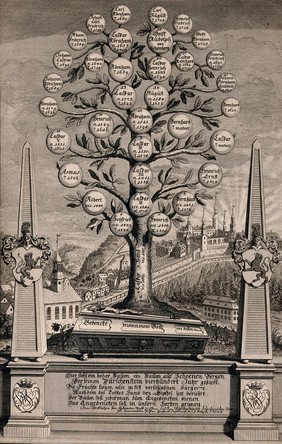 Family tree of the Schoenberg family. Engraving by C. P. Lindemann, 1736, after A. Wernerin.