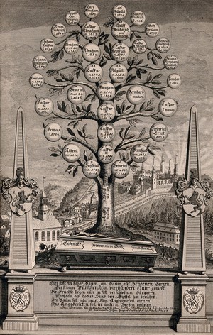 view Family tree of the Schoenberg family. Engraving by C. P. Lindemann, 1736, after A. Wernerin.