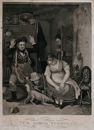 view A family scene where a mouse seems to have escaped from a type of trap and is being pursued by a child with a broom and a dog. Aquatint by D. Landini after J. Burnet.