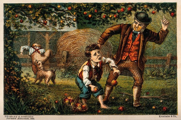One boy is caught by an irate farmer while stealing his apples from the orchard and another has the seat of his trousers ripped by a dog as he tries to escape over the fence. Colour wood engraving.
