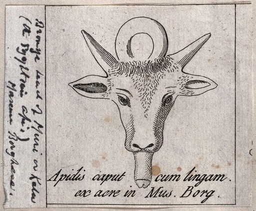 The bronze head of a small deer. Engraving.