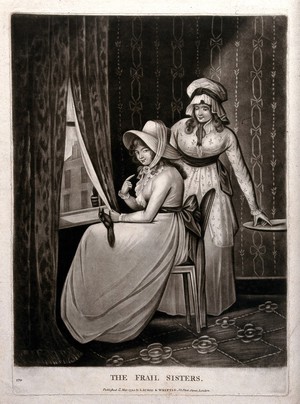 view A young woman sits by a window with a squirrel on her lap and another woman stands behind the chair. Mezzotint.