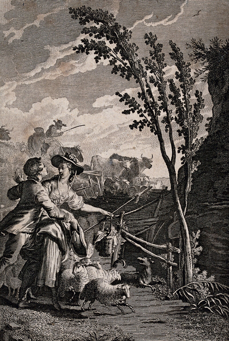 A young man rushes to speak to a young woman who is herding. Etching and engraving by J. Goldar., by John Goldar