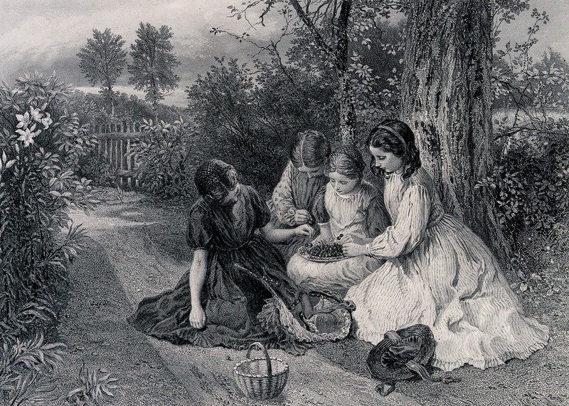 A group of girls are sitting on the ground under a tree with a basket of cherries. Engraving by T. Brown after Birket Foster., by Myles Birket Foster