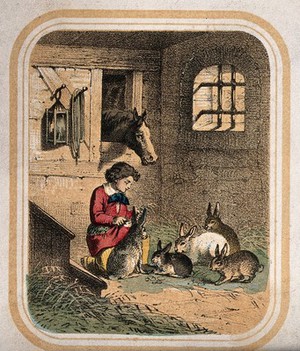 view A boy sits in a stable with five rabbits and a horse looks over the stable door. Coloured lithograph.