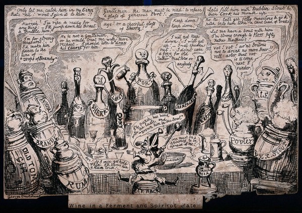 A collection of bottles of alcohol. Etching by George Cruikshank.