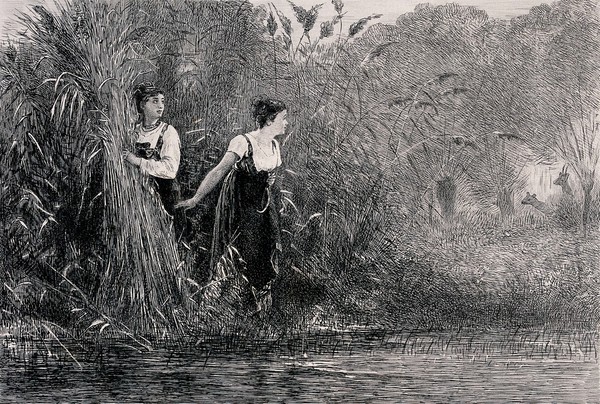 Two young women gathering reeds by the edge of some water, watching, and being watched by, two deer. Engraving by F. Bracquemond after Gustave Jundt.