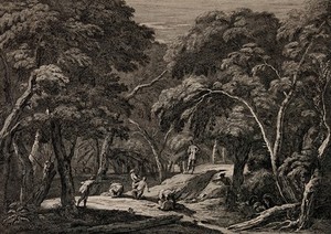 view People in a forest being attacked by robbers with guns and swords. Etching by J.B.C. Chatelain after Marco Ricci.