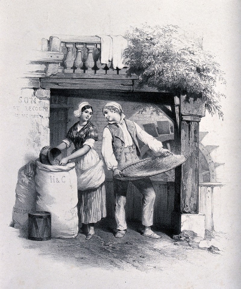 A young man working in a watermill holds a large flat basket of bran and gazes adoringly at a young woman as she measures out bran into a drum. Lithograph after Jules David., 1800-1899, by Jules David