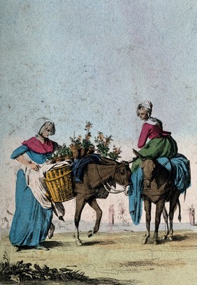 One woman guides a donkey carrying flowers in panniers as another woman rides sidesaddle on a second donkey. Coloured etching after J. Duplessi-Bertaux.