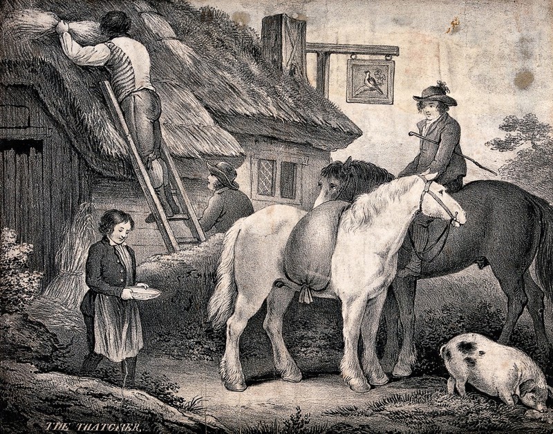 A man is thatching the roof of a cottage as a boy brings a bowl of water for the horses to drink. Lithograph after George Morland., by George Morland