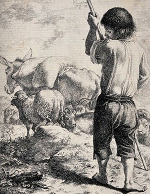 view A boy with a staff is tending to a flock of sheep and a donkey carries a load on its back. Etching by Francesco Londonio.