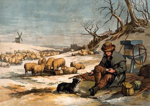 view A shepherd sits outside on a cold winter's day sharing his meal with his dog. Colour print after E. Duncan.