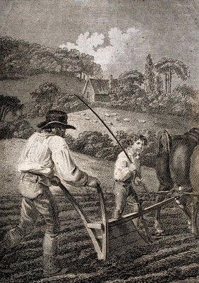 A ploughman guides his plough across the field helped by a boy. Engraving by Hemsley after W.(?) Craig.