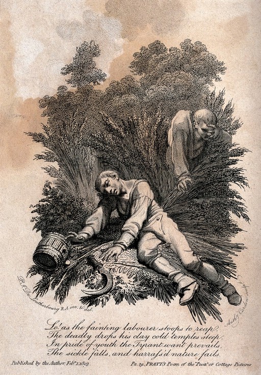 A young man has fallen amongst the corn and has dropped his scythe and barrel, another person finds him and raises his hand to his face. Engraving by Anthony Cardon after P.J. de Loutherbourg after himself.