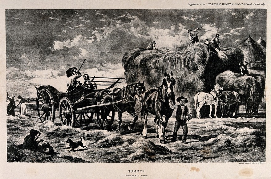 Hay is being gathered into a haystack, and a boy is leading horses pulling an empty wagon. Photolithograph after W.H. Hopkins.