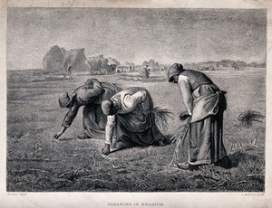 view Three women are picking up the small pieces of corn left in the fields after harvesting. Etching by A. Masson after J.F. Millet.