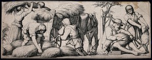 view Agricultural labours: harvesters loading sheaves of corn on to a wagon, and a man and boy shearing sheep. Engraving after E. Bendemann.