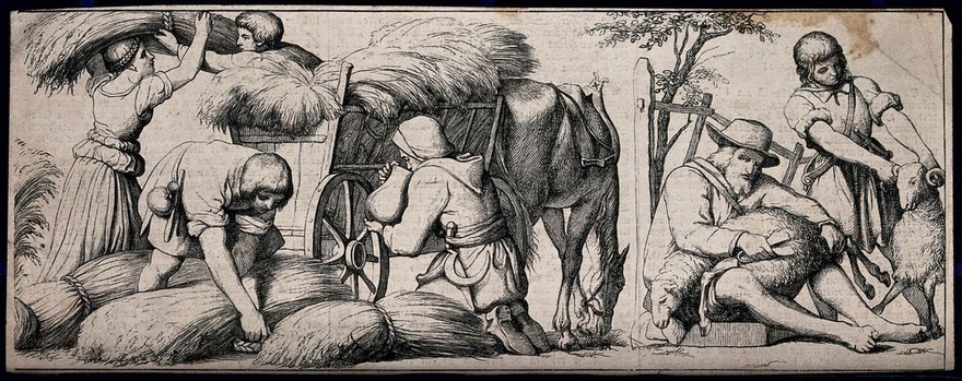 Agricultural labours: harvesters loading sheaves of corn on to a wagon, and a man and boy shearing sheep. Engraving after E. Bendemann.