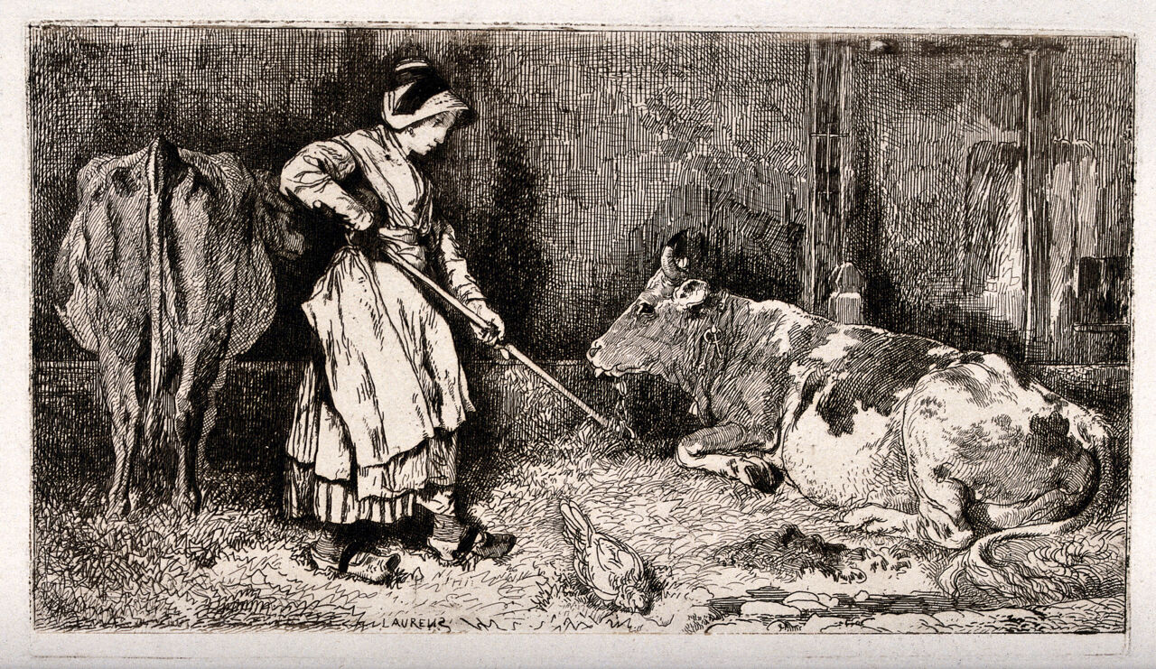 A girl wearing clogs turns the hay for cows in their shed. Etching by Jules Laurens., 1800-1899, by Jules Laurens