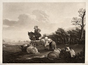 view A mounted man looks on while a shepherd girl milks a ewe. Aquatint by C. Apostool after K. du Jardin.