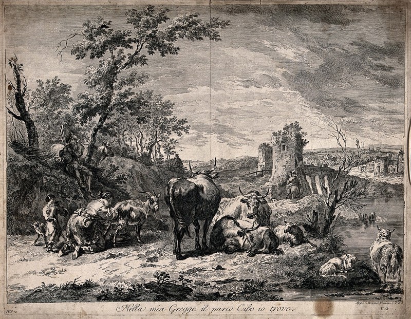 Cattle and sheep rest on the hillside as a woman milks a goat and gives the child a drink; a herder plays the bagpipes. Etching after N. Berchem., 1700-1799, by Nicolaes Pieterszoon Berchem