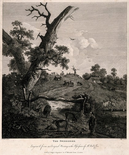 A swineherd tends his flock by the river and a goatherd looks after his flock on the hillside. Engraving by T. Major after P. Potter.