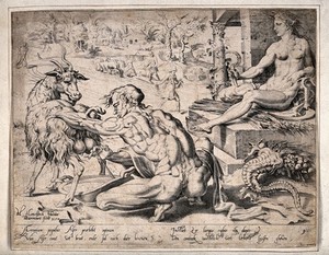 view The patriarch Asher milking a goat, men ploughing and sowing the fields, and the goddess Ceres holding a scythe; a cornucopia lies on the ground. Etching by D. Coornhert after M. van Heemskerck.