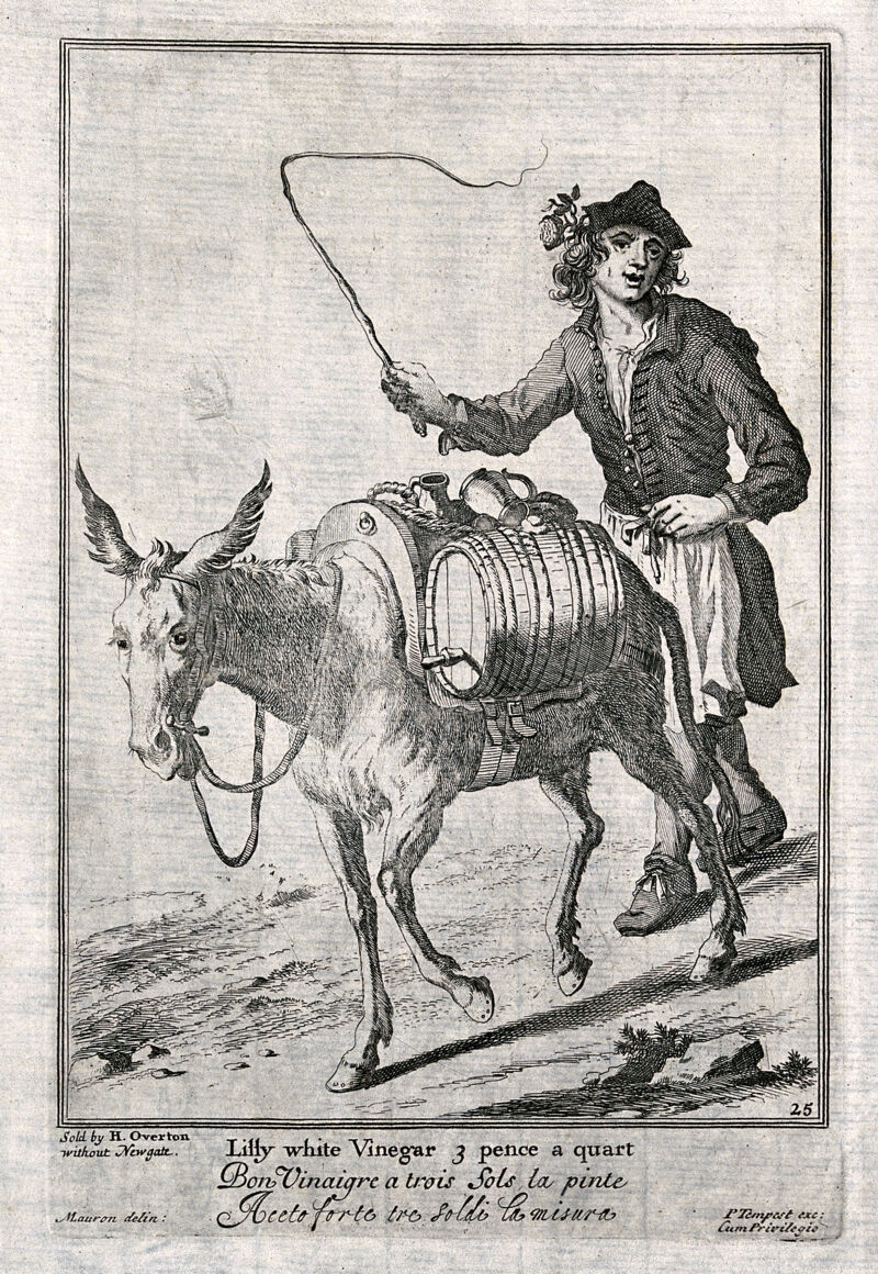 A man is whipping a donkey on as it carries the panniers which