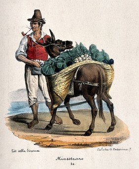 A vegetable farmer has the panniers on his donkey loaded with vegetables. Coloured lithograph by La Sirena.