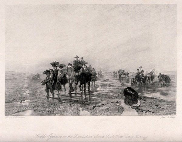 Crowds of people with donkeys are gathering cockles on the beach. Etching by John Le Conte after Edward Duncan.
