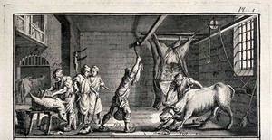 view An abattoir: animals are being killed and the carcasses hung up from beams. Engraving by A.J. Defehrt.