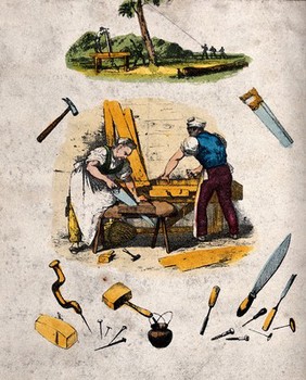Woodwork: felling the tree, planing, sawing, and instruments. Coloured lithograph.