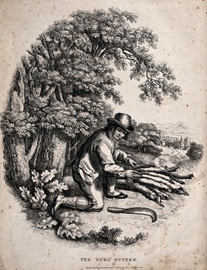 view A man is cutting wood for fuel and binding it into bundles to carry. Engraving.