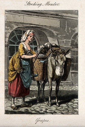 A woman with a donkey whose panniers are full of grapes. Coloured etching.