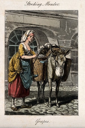 view A woman with a donkey whose panniers are full of grapes. Coloured etching.