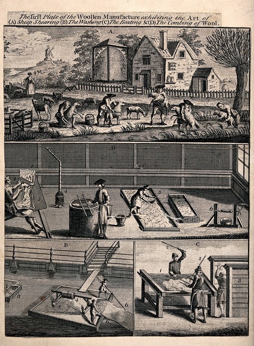 People are dipping sheep in the river and shearing them in the field, then they are washing, beating and combing the wool. Engraving.