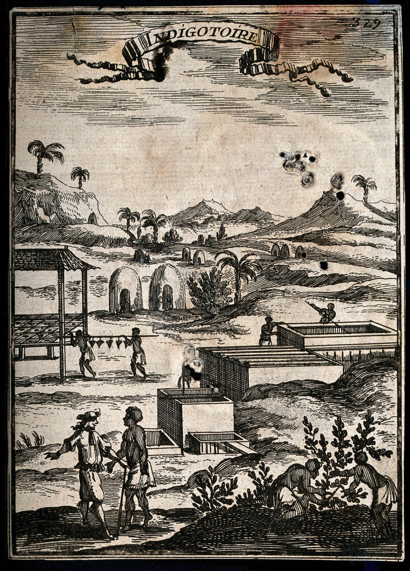 An indigo plantation in the Caribbean islands, with black workers and a white overseer. Engraving, 1683, after S. Leclerc, ca 1671., [1683], by Sébastien Leclerc