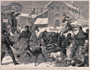 view A street market at Christmas time: reindeer, pigs, fruit, turkeys and Christmas trees for sale. Wood engraving by C. Roberts.