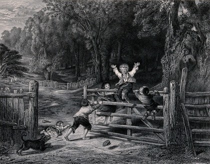 Four children play on a five-bar gate in a woodland, one child has fallen to the ground. Lithograph after W. Collins.