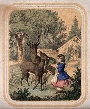 view A small girl is feeding leaves to deer in a garden outside a cottage. Coloured lithograph.