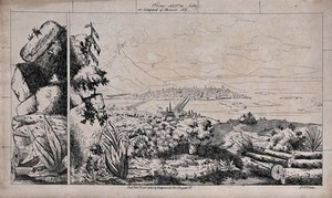 view Scenery to be used in a toy theatre: a landscape with felled palm trees overlooking a waterway with a brige built to the city on the other side. Lithograph.