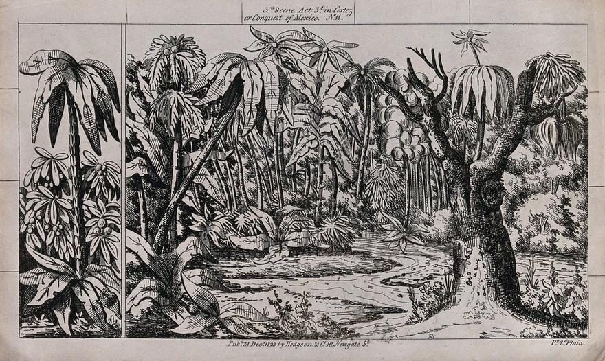 Scenery to be used in a toy theatre: a lake surrounded by palm trees. Lithograph.