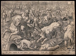 view Men on horseback are goring bulls with spears, crowds of people are watching from the sidelines. Engraving after Jan van der Straet.