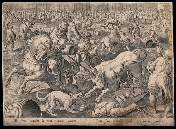 Men on horseback are goring bulls with spears, crowds of people are watching from the sidelines. Engraving after Jan van der Straet.