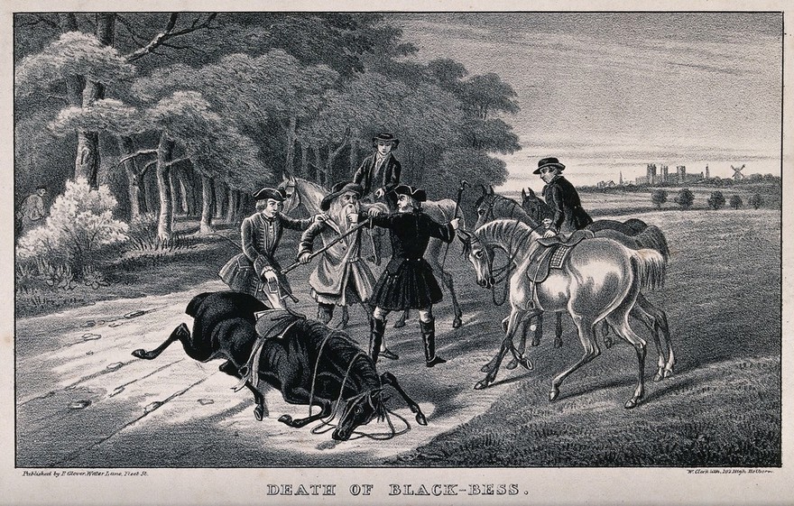 The horse of Dick Turpin, Black Bess, dies of exhaustion after Turpin tries to escape from his pursuers. Lithograph by W. Clerk, 1839.