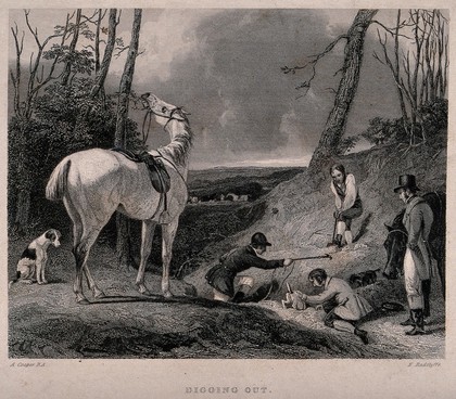 Hunters and hounds attempt to dig a fox out of its set in the ground; a horse chews leaves on a tree. Engraving by E. Radclyffe after A. Cooper.