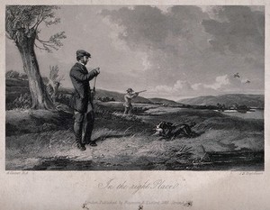 view Men are out shooting pheasant on the moors, a dog is returning with the catch in his mouth. Engraving by J.H. Engelheart after A. Cooper.