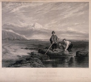 view Three boys are fishing in rock pools with a large net. Engraving by J.T. Willmore after W. Collins.